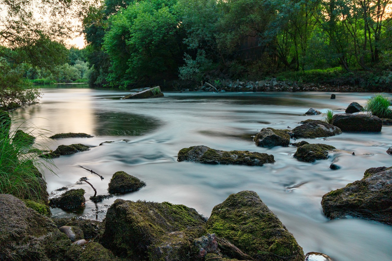 river, tea, miño-5330961.jpg